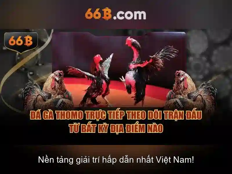 66b: Mô hình ngôn ngữ quy mô lớn và hành trình của nó