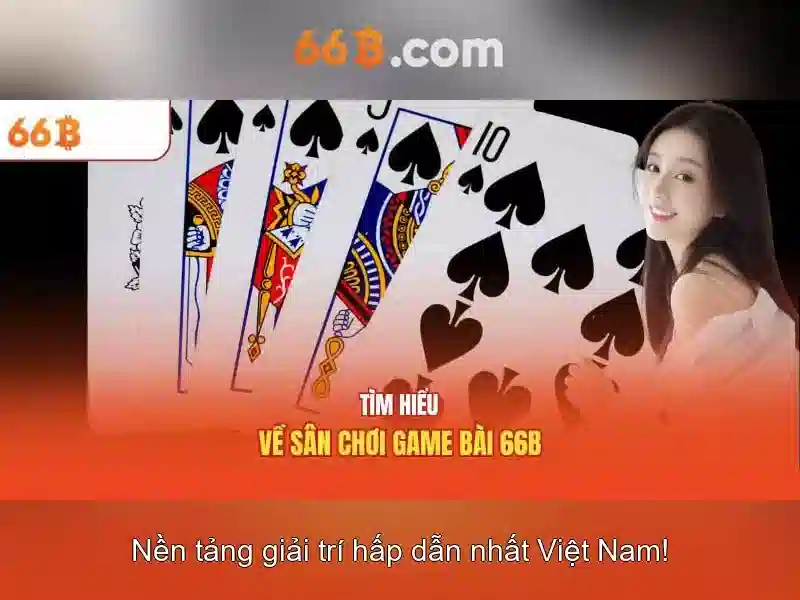 66b là gì