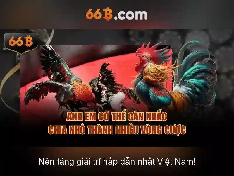 Khái niệm và ứng dụng của 66B