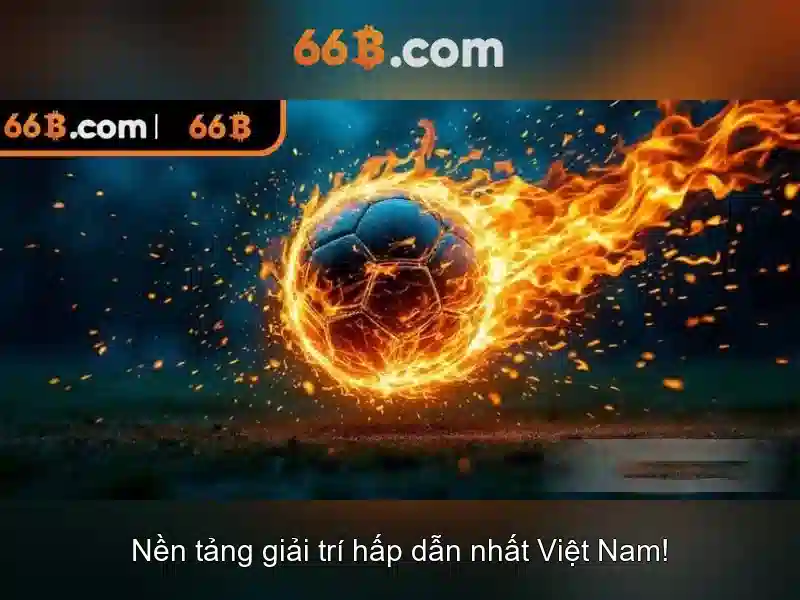 Ứng dụng và cân nhắc đạo đức của 66B