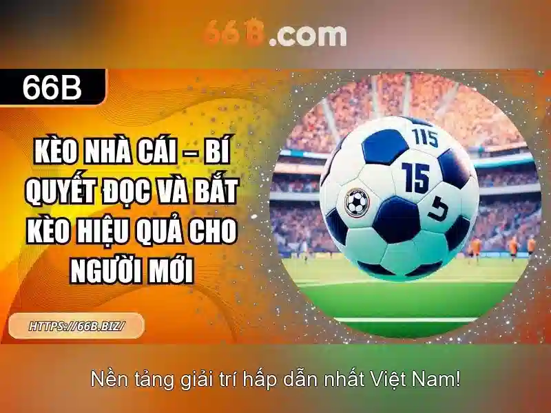 Kiến trúc và quy mô