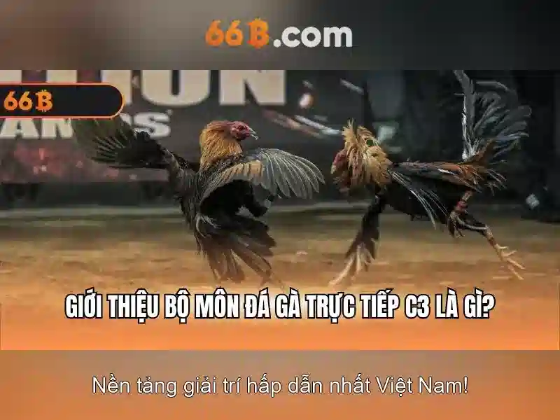 66B và tương lai của ngôn ngữ AI