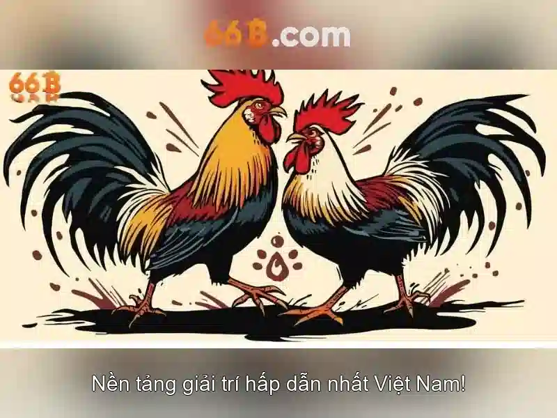 66b: một ký hiệu và ý nghĩa của nó trong thế giới số