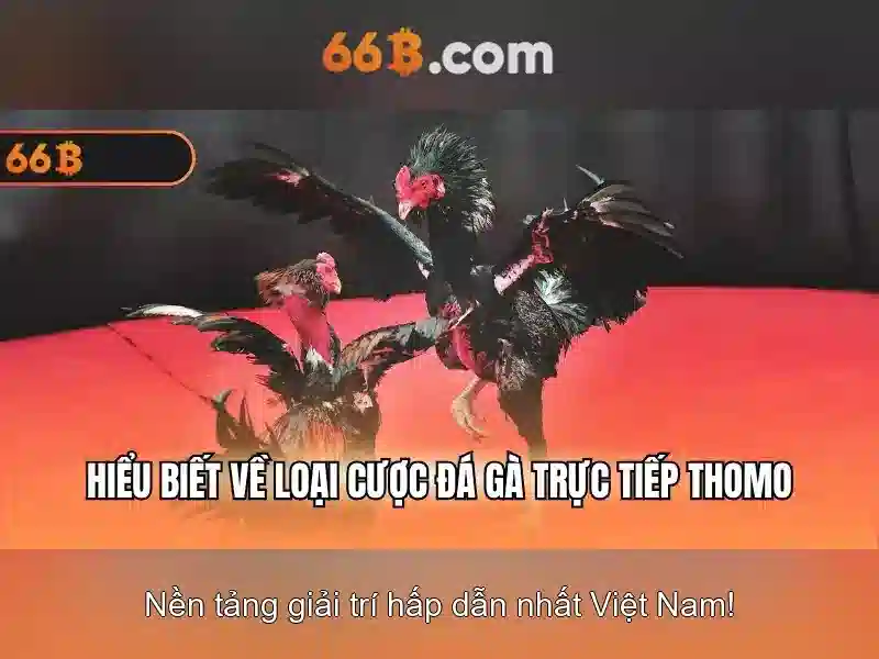 66b: Khám phá mô hình ngôn ngữ 66b và các ứng dụng