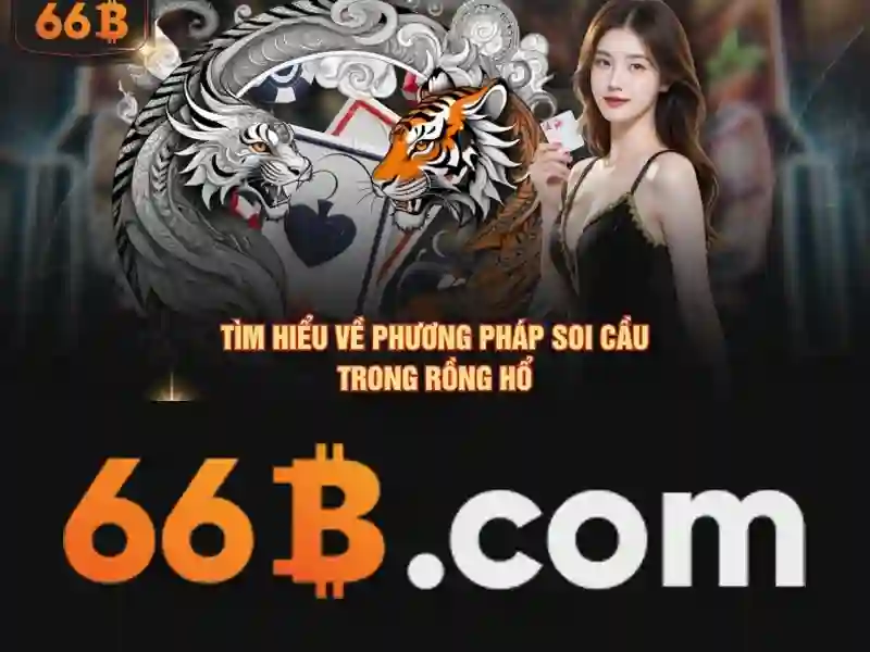 66b và hành trình số hóa