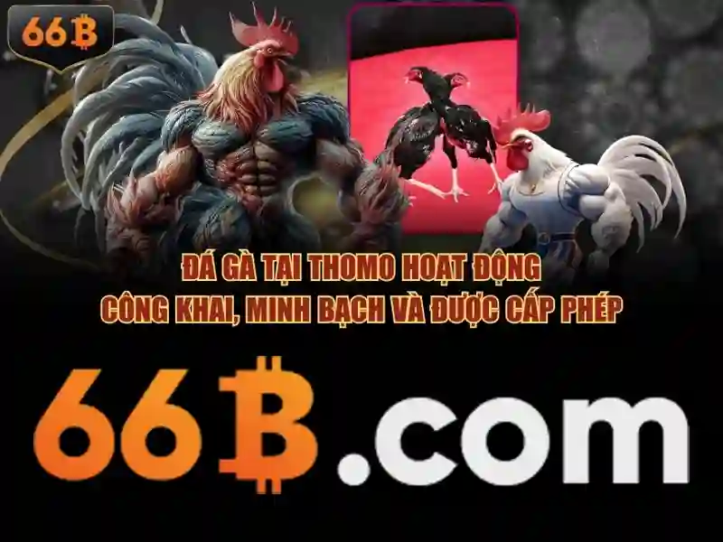 Hiệu suất và ưu điểm của 66B