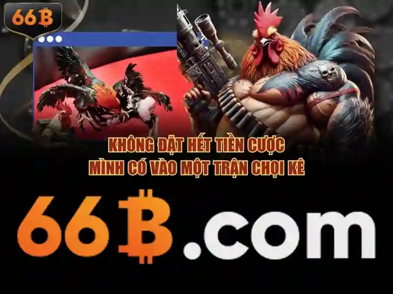 Banner giới thiệu 66b