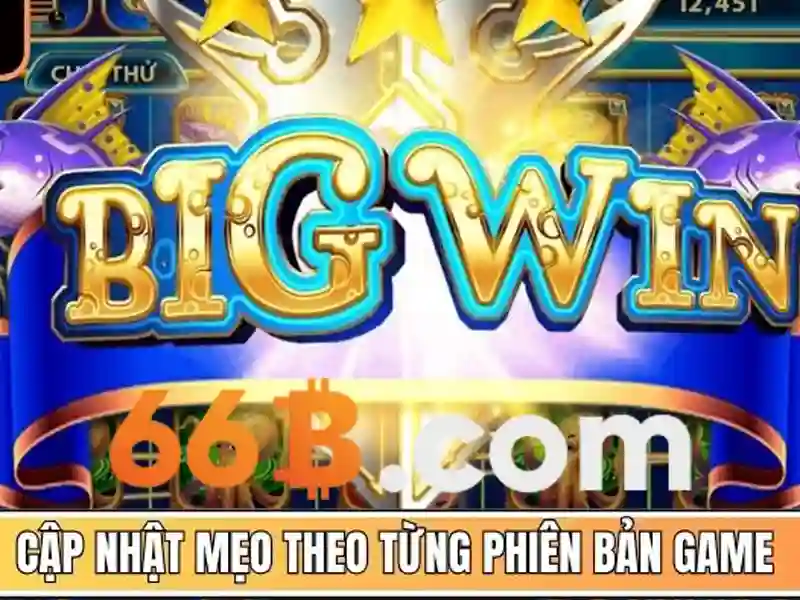 Kiến trúc và kích thước