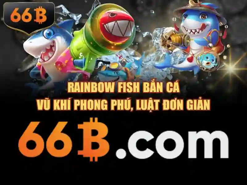 66B là gì