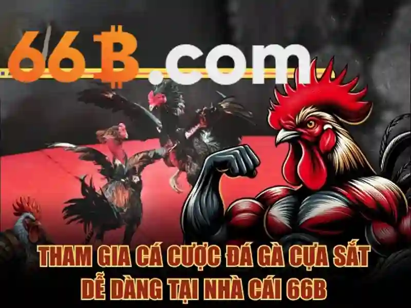 Phần đo kích thước chuẩn cho 66B