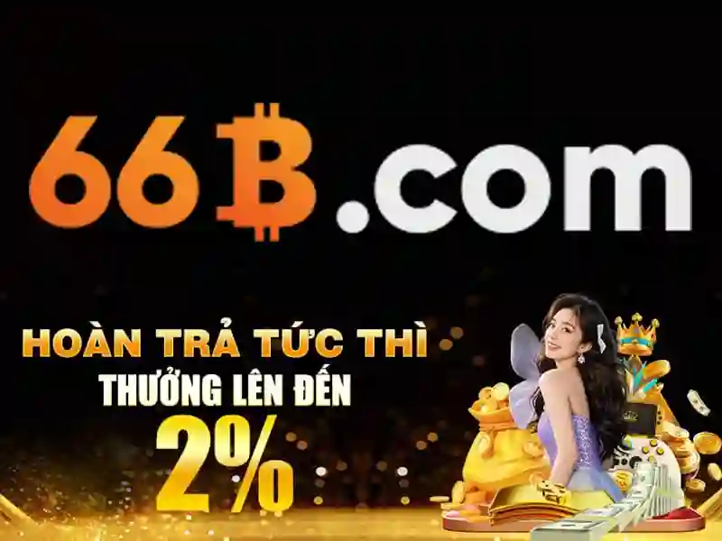 Giới thiệu về 66B