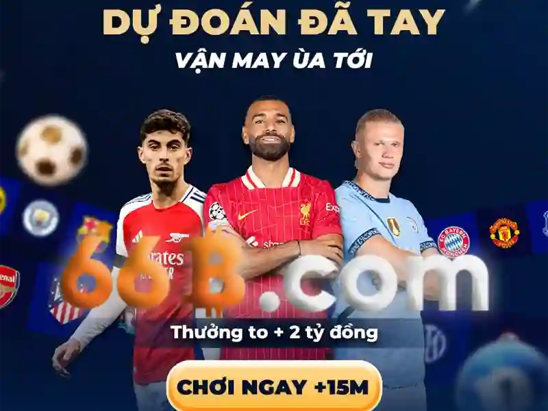 66b: một khái niệm và ảnh hưởng