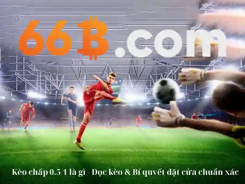 Khía cạnh chức năng và tương tác